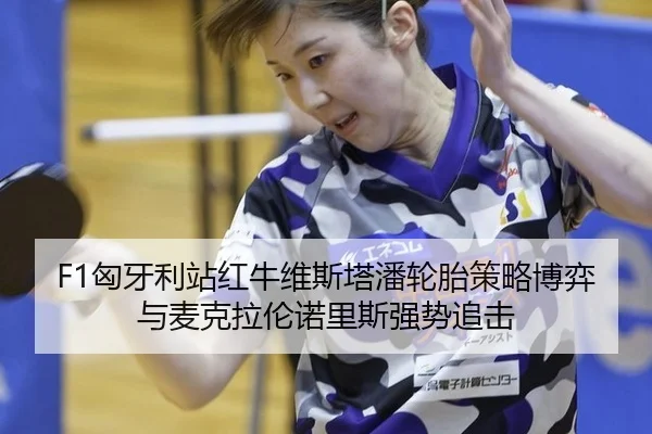 F1匈牙利站红牛维斯塔潘轮胎策略博弈与麦克拉伦诺里斯强势追击