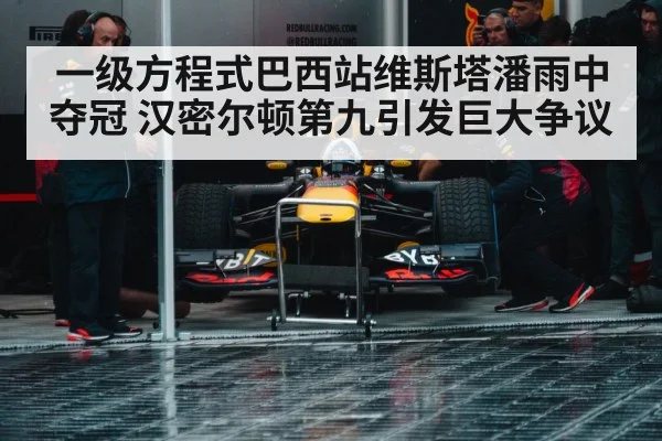 一级方程式巴西站维斯塔潘雨中夺冠 汉密尔顿第九引发巨大争议